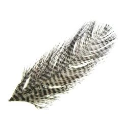 Montana Fly Company Feathers Barred Ostrich Plume 20 Montana Fly Company Feathers Barred Ostrich Plume