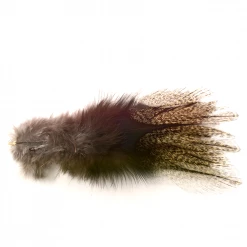 Hareline Dubbin, Inc. Coq De Leon Feathers
