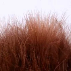 Nature's Spirit Feathers Blood Quill Strung Marabou