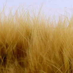 Nature's Spirit Feathers Blood Quill Strung Marabou