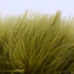 Nature's Spirit Feathers Blood Quill Strung Marabou