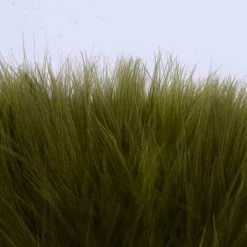 Nature's Spirit Feathers Blood Quill Strung Marabou