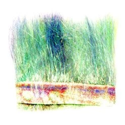 Hareline Dubbin, Inc. Ice Dub Minnow Back Shimmer Fringe Body Material