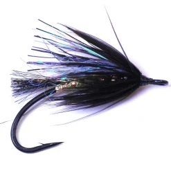 Deschutes Angler Fall Run