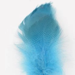 Nature's Spirit Mallard Spey Dyed