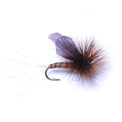 Deschutes Angler FLIES Green Drake Adult