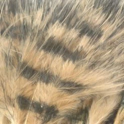 Spirit River Feathers Jailhouse Marabou