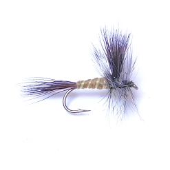 Deschutes Angler Lawson's Green Drake Standard