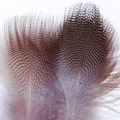 Nature's Spirit Woodduck Lemon