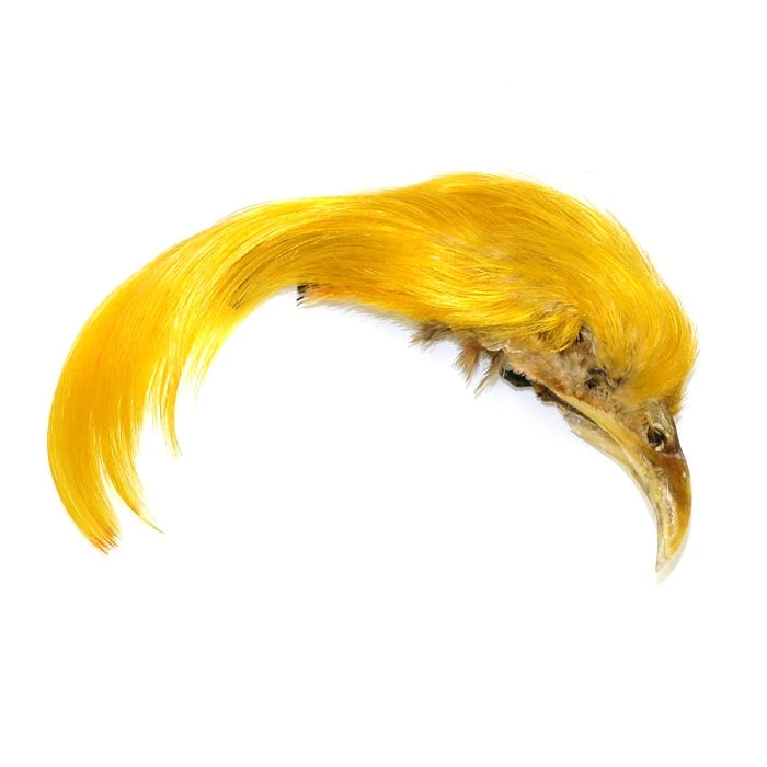 Nature's Spirit Feathers Dyed Golden Pheasant Crest 5 Nature's Spirit Feathers Dyed Golden Pheasant Crest