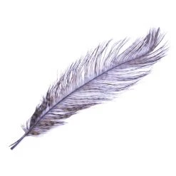 Montana Fly Company Feathers Barred Ostrich Plume 16 Montana Fly Company Feathers Barred Ostrich Plume