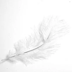 Nature's Spirit Ostrich Plume