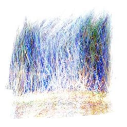 Hareline Dubbin, Inc. Ice Dub Minnow Back Shimmer Fringe Body Material