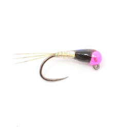 Montana Fly Company Tungsten Spanish Bullet FLIES