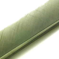 Nature's Spirit Feathers Turkey Biot Quills