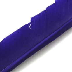 Nature's Spirit Feathers Turkey Biot Quills