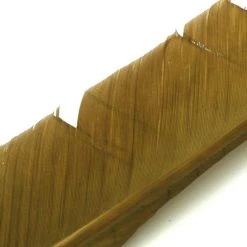 Nature's Spirit Feathers Turkey Biot Quills