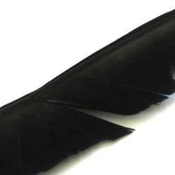 Nature's Spirit Feathers Turkey Biot Quills