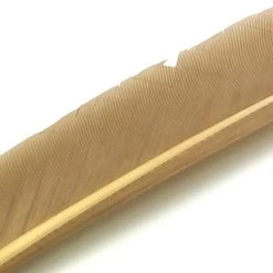 Nature's Spirit Feathers Turkey Biot Quills