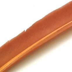 Nature's Spirit Feathers Turkey Biot Quills