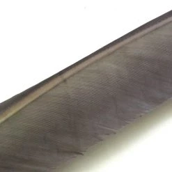 Nature's Spirit Feathers Turkey Biot Quills