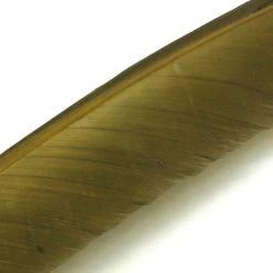 Nature's Spirit Feathers Turkey Biot Quills