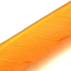 Nature's Spirit Feathers Turkey Biot Quills