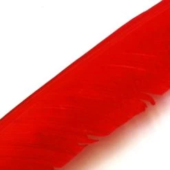 Nature's Spirit Feathers Turkey Biot Quills