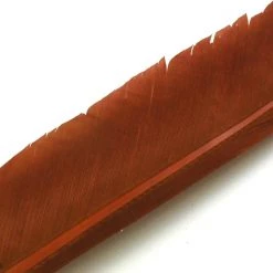 Nature's Spirit Feathers Turkey Biot Quills