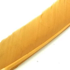 Nature's Spirit Feathers Turkey Biot Quills