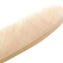 Nature's Spirit Feathers Turkey Biot Quills