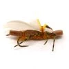 Deschutes Angler FLIES Water Walker Brown-Gold