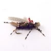 Deschutes Angler FLIES Water Walker - Lt. Tan/Purple