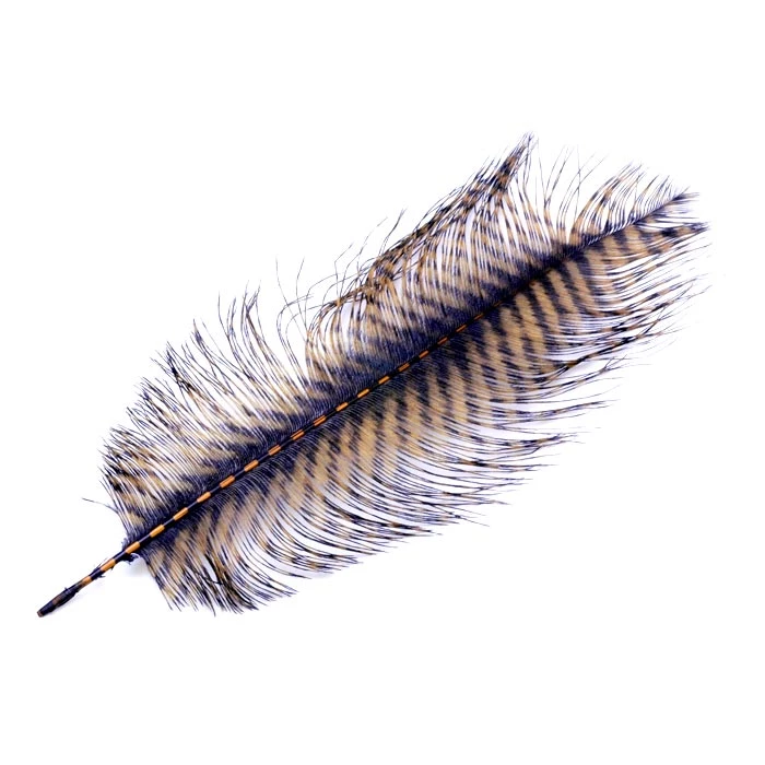 Montana Fly Company Feathers Barred Ostrich Plume 11 Montana Fly Company Feathers Barred Ostrich Plume