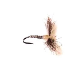 Deschutes Angler Fly Shop CDC Biot Spinner Callibaetis FLIES