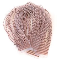 Hareline Dubbin, Inc. Rubber Legs & Foam Chicone's Barred Crusher Legs