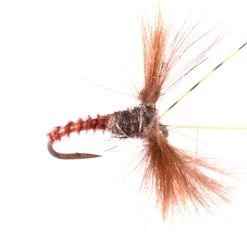 Deschutes Angler Dead Bug Caddis FLIES
