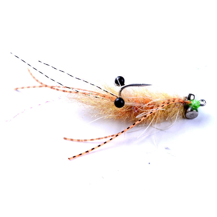 Enrico Puglisi EP Ascension Bay Mantis 1 Enrico Puglisi EP Ascension Bay Mantis