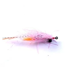 Enrico Puglisi FLIES EP Bahamas Shrimp Lead Eye
