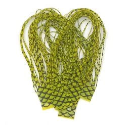 Nature's Spirit Rubber Legs & Foam Barred Nymph Sili Legs