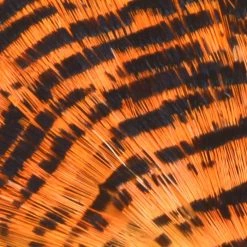 Nature's Spirit Golden Pheasant Tippet