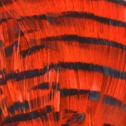 Nature's Spirit Golden Pheasant Tippet