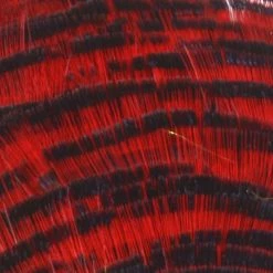 Nature's Spirit Golden Pheasant Tippet