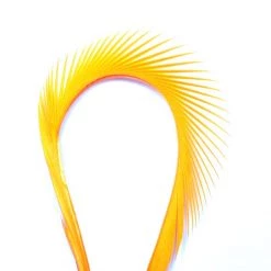 Nature's Spirit Goose Biots