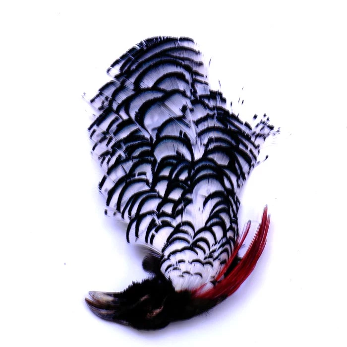 Nature's Spirit Feathers Lady Amherst Crest W/ Tippet 1 Nature's Spirit Feathers Lady Amherst Crest W/ Tippet