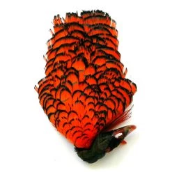 Nature's Spirit Feathers Lady Amherst Crest W/ Tippet 12 Nature's Spirit Feathers Lady Amherst Crest W/ Tippet