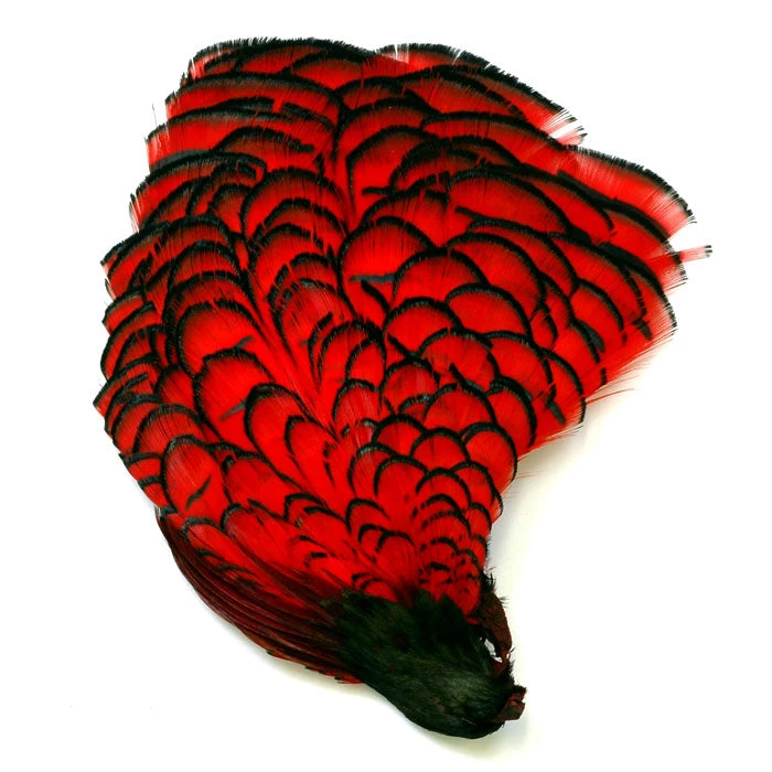 Nature's Spirit Feathers Lady Amherst Crest W/ Tippet 4 Nature's Spirit Feathers Lady Amherst Crest W/ Tippet