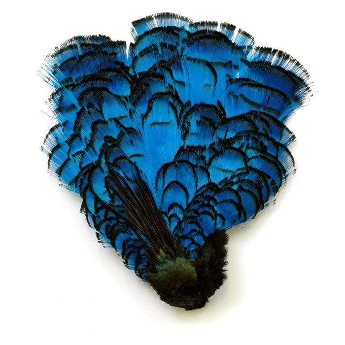 Nature's Spirit Feathers Lady Amherst Crest W/ Tippet 6 Nature's Spirit Feathers Lady Amherst Crest W/ Tippet