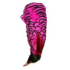 Nature's Spirit Feathers Lady Amherst Crest W/ Tippet 17 Nature's Spirit Feathers Lady Amherst Crest W/ Tippet