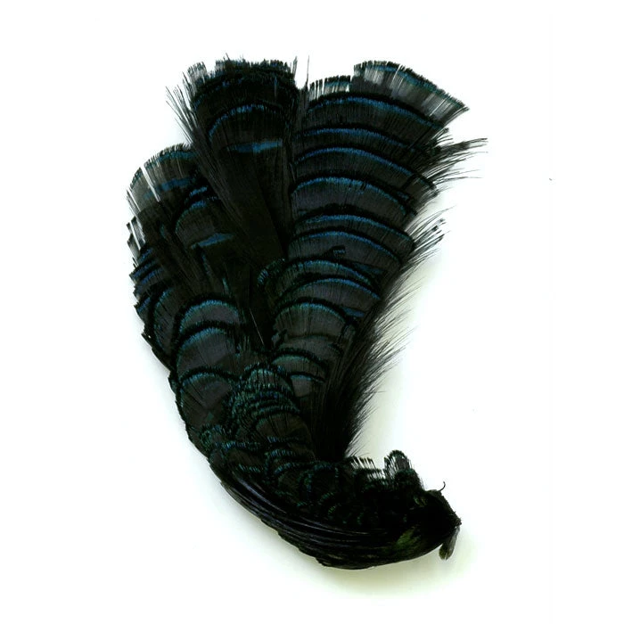 Nature's Spirit Feathers Lady Amherst Crest W/ Tippet 9 Nature's Spirit Feathers Lady Amherst Crest W/ Tippet